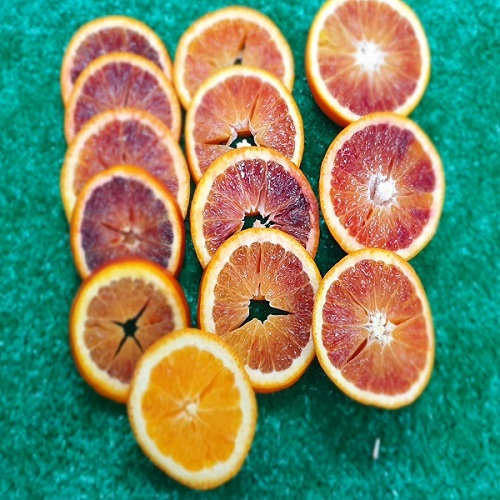 블러드오렌지(혼합과)5kg
