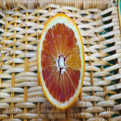 블러드오렌지(혼합과)5kg