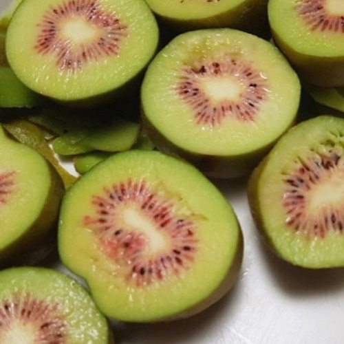 제주산 레드키위 3kg(28~35개 내외)