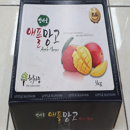 제주 애플망고 2kg (5~9과 내외) 