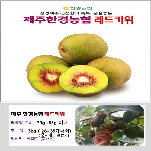제주산 레드키위 3kg(28~35개 내외)