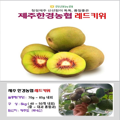 제주산 레드키위 5kg(40~50개 내외)