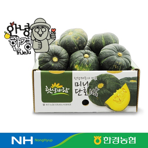 제주산 미니 밤호박(단호박) 3kg 