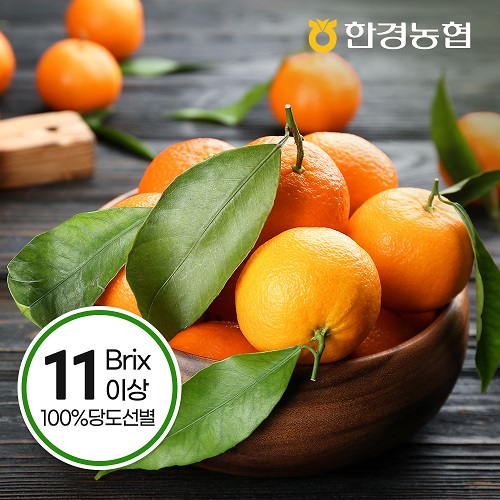 [한경농협]프리미엄 당도선별 감귤 2.5kg/4.5kg