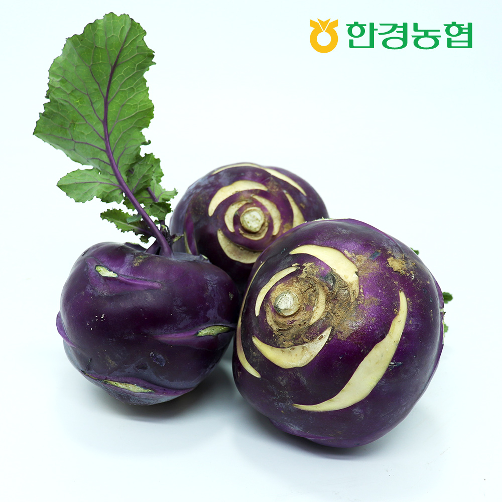 [한경농협] 제주 콜라비 4kg/8kg/14kg