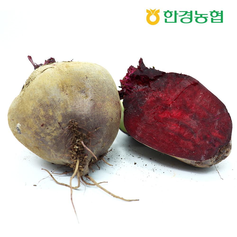 [한경농협] 제주 레드비트 5kg 혼합과