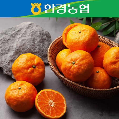 제주 카라향 (2.5kg/4.5kg)(23년 4월 판매예정)