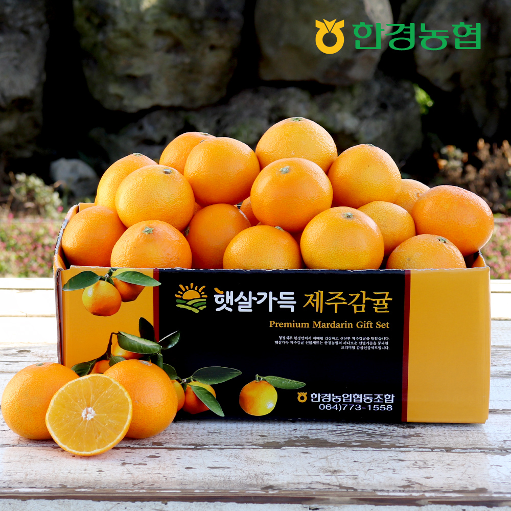 황금향 중과 1.5kg/3kg