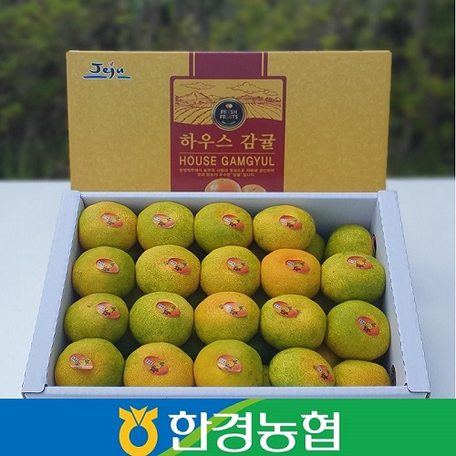 제주 하우스감귤 선물세트 3kg/5kg