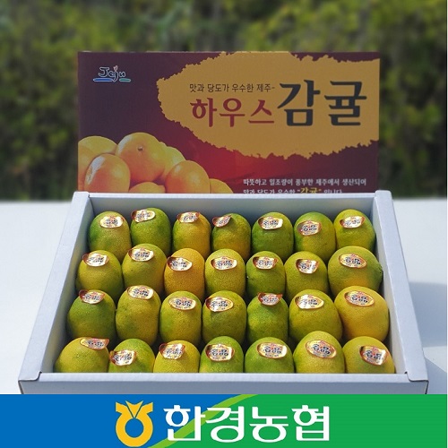 제주 하우스감귤 선물세트 3kg/5kg