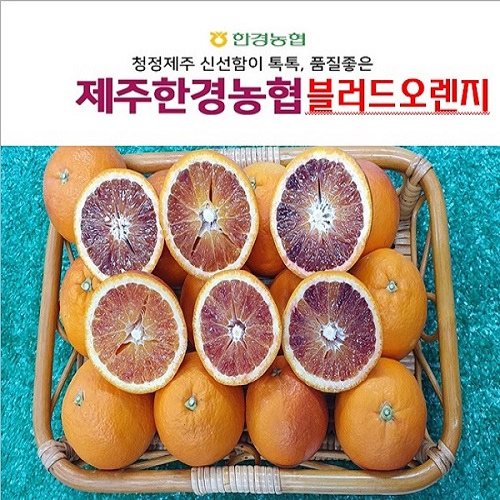 블러드오렌지(혼합과)5kg