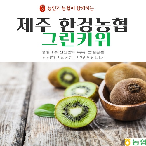 제주 한경농협 그린 키위 3kg