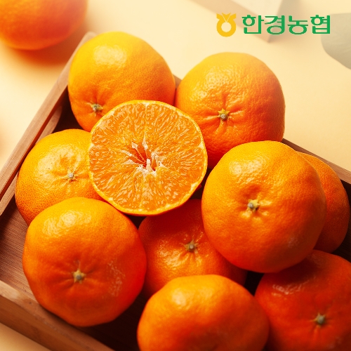 [한경농협] 제주 레드향 